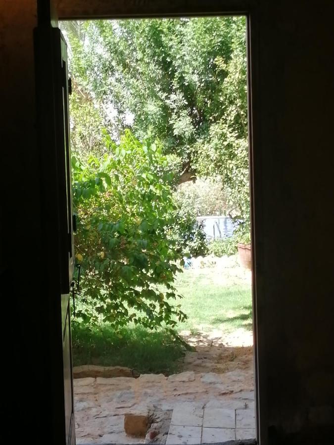 Studio In Byoum By Qaroun Lake In Fayoum Qaryat at Ta'mir as Siyahiyah Esterno foto